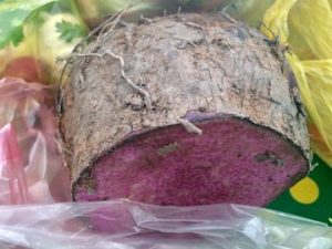 紫芋（紫山芋、ベトナム2