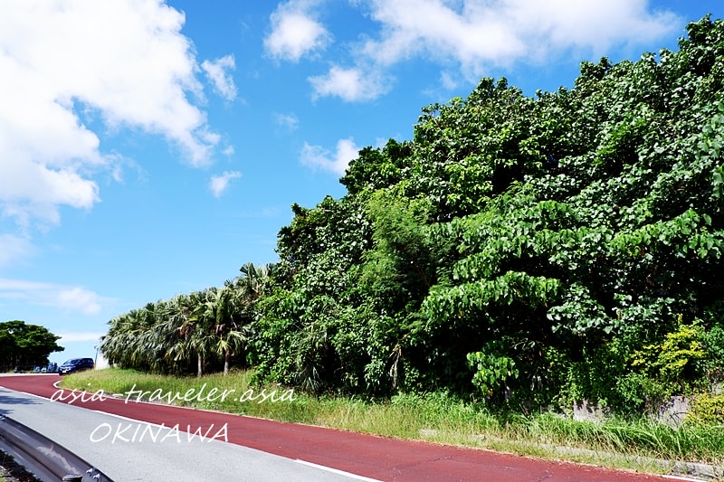 沖縄 海軍壕公園