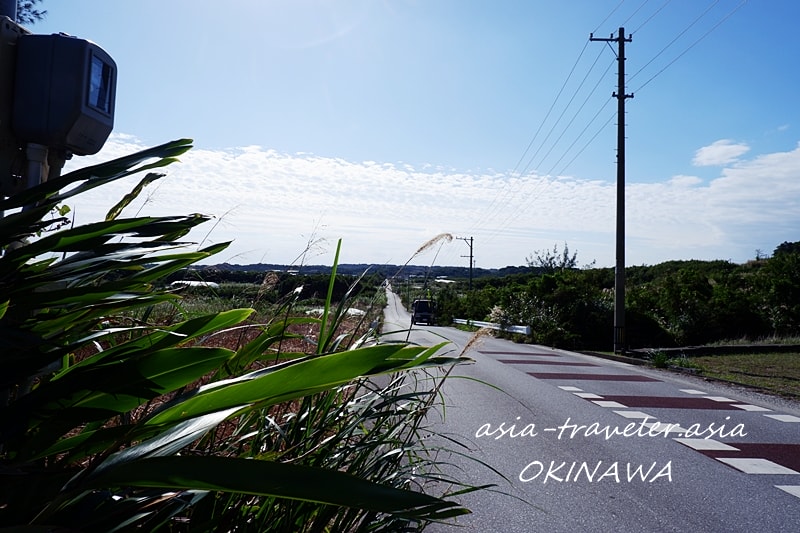 沖縄サイクリング